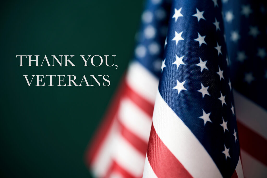 Veterans Day - Thank You Veterans Text